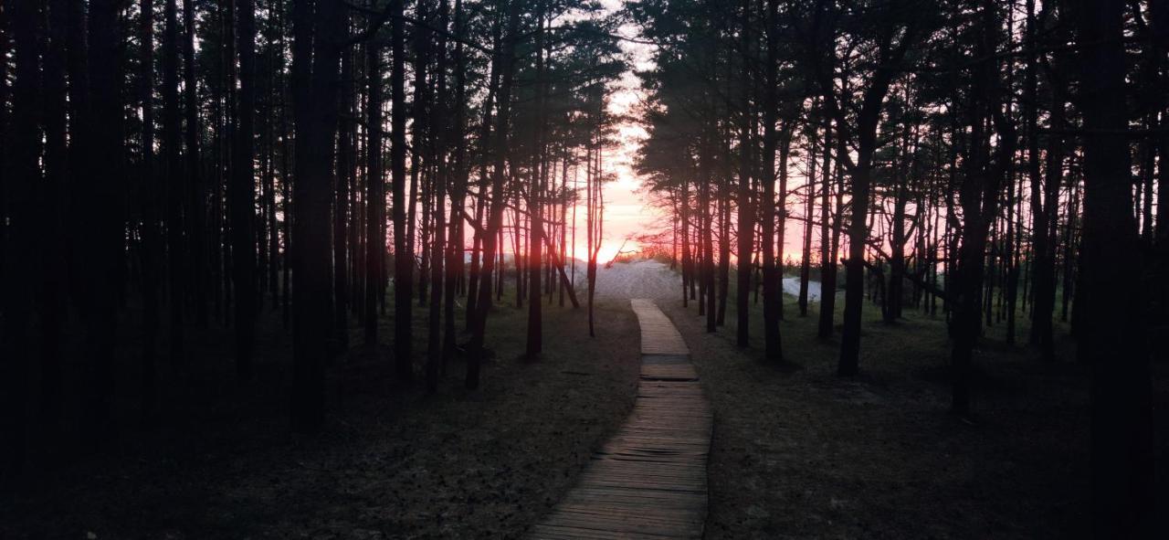 Vila Baltic Mare Palanga Dış mekan fotoğraf